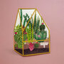 lasergesneden wenskaart blossom - thank you - plantenkas