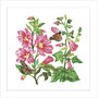 wenskaart woodmansterne -  bloemen met vlinders