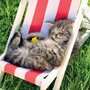 wenskaart - chilling cat