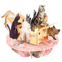3D kaart - pirouettes cards - purrrfect parcel - katten in doos