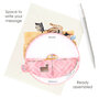 3D kaart - pirouettes cards - purrrfect parcel - katten in doos