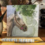 wenskaart alex clark - paard