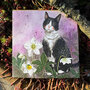 wenskaart alex clark - kat en helleborus