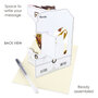 3D kaart - swing cards - katten en hangmat