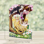 3D kaart - swing cards - katten en hangmat
