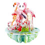 3D kaart - pirouettes cards - flamingo's