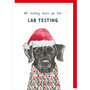 kerstkaart rosie made a thing - tipp top - all turkey must go for lab testing - hond
