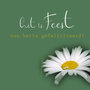 felicitatiekaart - het is feest - witte bloem