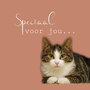wenskaart - speciaal voor jou... - kat