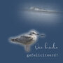 felicitatiekaart - van harte gefeliciteerd! - meeuw