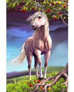 3d ansichtkaart - lenticulaire kaart - paard - horse heaven