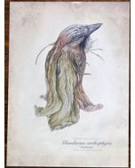 ansichtkaart dubbeldieren van jenny bakker - gaaibloem | Muller wenskaarten