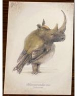 ansichtkaart van jenny bakker - neushoornvogel | Muller wenskaarten