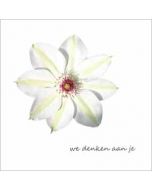 wenskaart - we denken aan je - clematis witte bloem