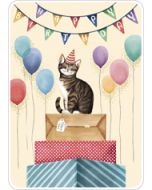 ansichtkaart van rosie hilyer - happy birthday - kat op cadeautjes | mullerwenskaarten 