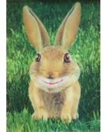 3d ansichtkaart - lenticulaire kaart - lachend konijn