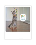 ansichtkaart instagram pickmotion - yay it's your birthday - kat