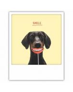 ansichtkaart instagram pickmotion - smile - hond