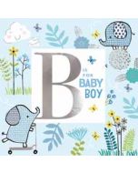geboortekaart second nature - B is for baby boy