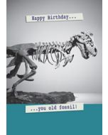 verjaardagskaart second nature - happy birthday... you old fossil!