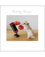 verjaardagskaart woodmansterne - birthday champ - hamster boksen | muller wenskaarten