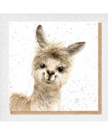 wenskaart fine art - vrolijke lama alpaca