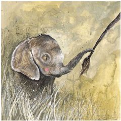 wenskaart alex clark - baby olifant | muller wenskaarten