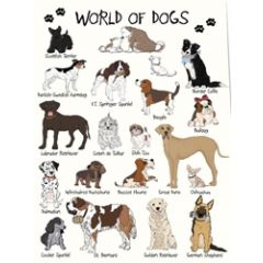 wenskaart mouse & pen - world of dogs (voor de hondenliefhebber)