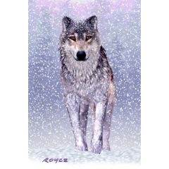 3d ansichtkaart - lenticulaire kaart - wolf