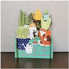 3d pop-up kaart miniature greetings - katten en cactussen | muller wenskaarten