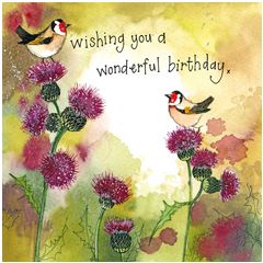 verjaardagskaart alex clark - wishing you a wonderful birthday | muller wenskaarten