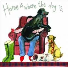 wenskaart alex clark - home is where the dog is