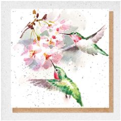 wenskaart fine art - kolibries | mullerwenskaarten 