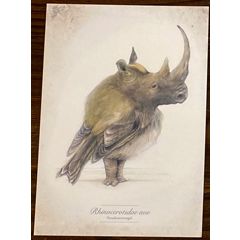 ansichtkaart van jenny bakker - neushoornvogel | Muller wenskaarten