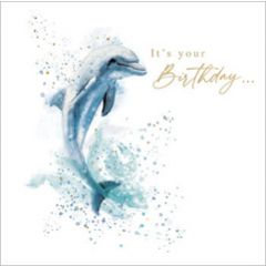 wenskaart second nature - dolfijn - it’s your birthday 