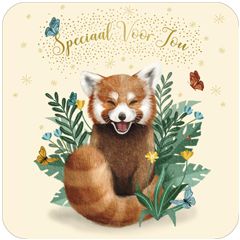 vierkante ansichtkaart met envelop - speciaal voor jou - rode panda | muller wenskaarten