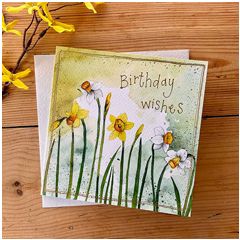 verjaardagskaart alex clark - birthday wishes - narcis | muller wenskaarten