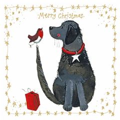 10 luxe kerstkaartjes alex clark - merry christmas - hond en roodborstje