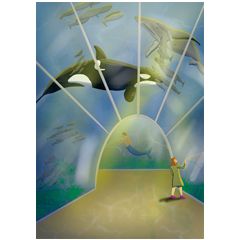 grote kaart a4 hophew studio - aquarium walvis | muller wenskaarten