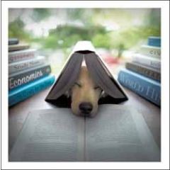 wenskaart woodmansterne - hond slaapt onder boek