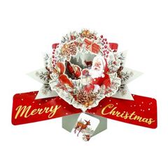 3D kerstkaart - pop ups - merry christmas - kerstman