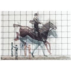 3d ansichtkaart - lenticulaire kaart - springend paard
