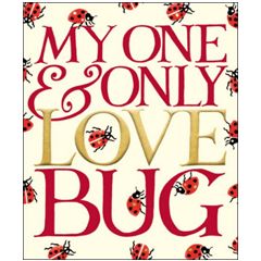 grote liefdes kaart woodmansterne - emma bridgewater - my one and only love bug - lieveheersbeestje