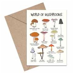 wenskaart mouse & pen - world of mushrooms