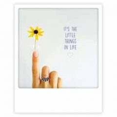 ansichtkaart instagram pickmotion - it's the little things in life - bloemetje