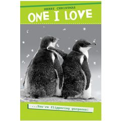 grappige kerstkaart second nature - Merry Christmas one I love - pinguins
