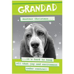 grappige kerstkaart second nature - grandad, another Christmas... - hond