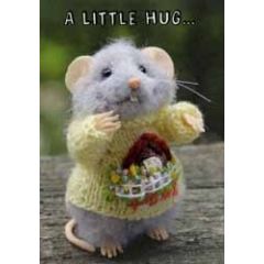 santoro tiny squee mousies wenskaart - a little hug