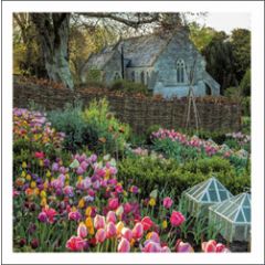 wenskaart woodmansterne - tuin met tulpen