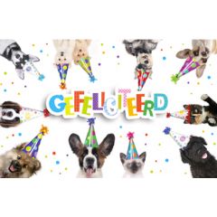 verjaardagskaart - gefeliciteerd! - honden